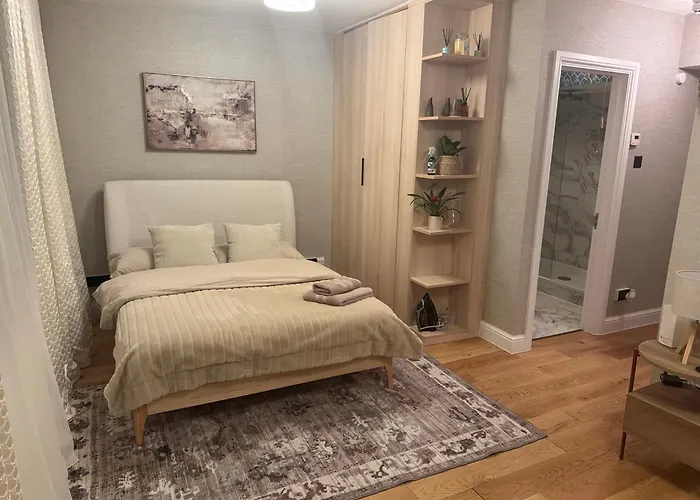 Modern Studio Apartment In Central London, Zone 1